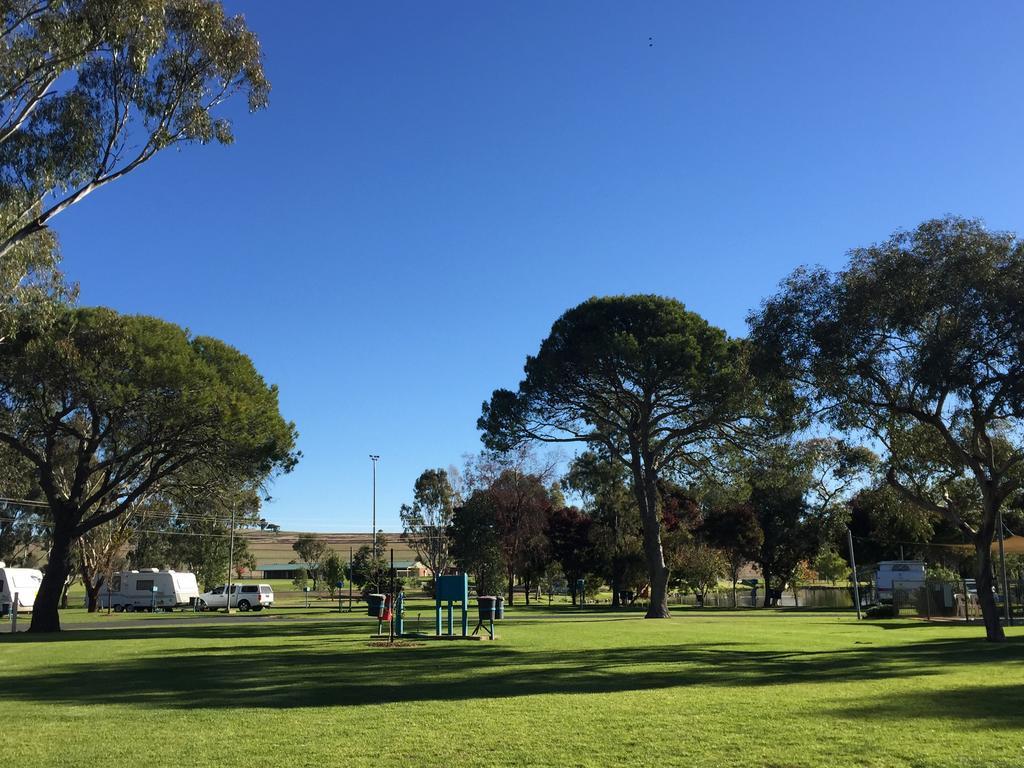 Junee Tourist Park Екстер'єр фото